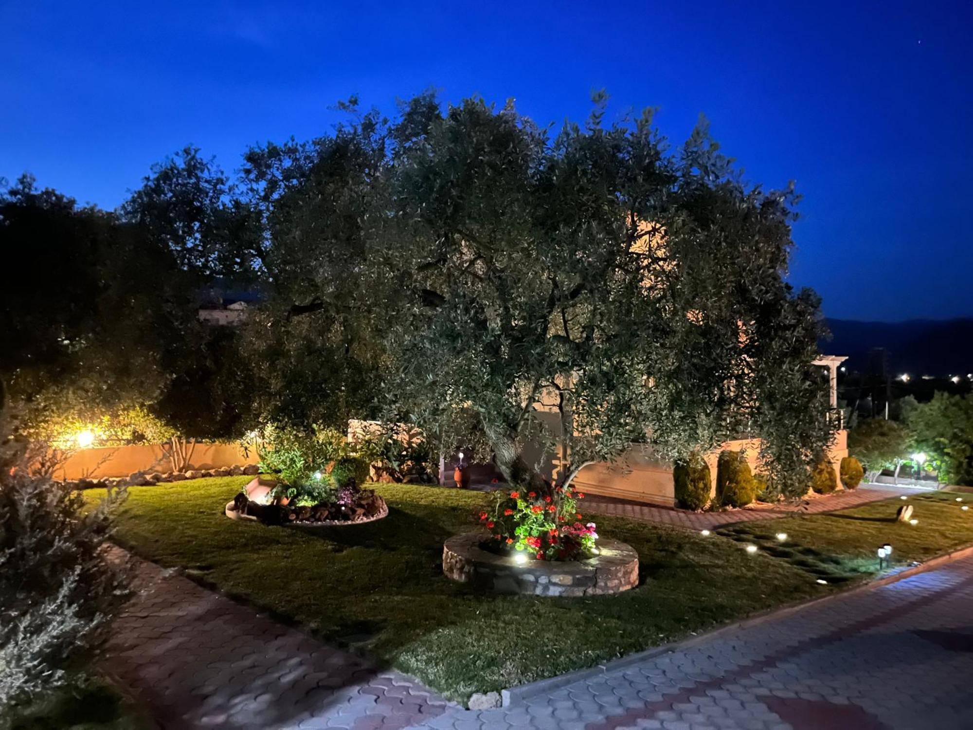 En Ethria Appartement Limenaria  Buitenkant foto